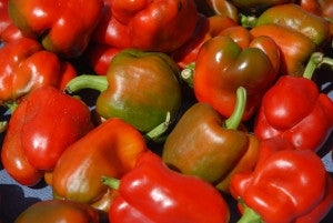 Organic Red Bell Peppers