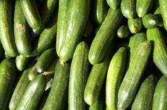 Organic Cucumbers